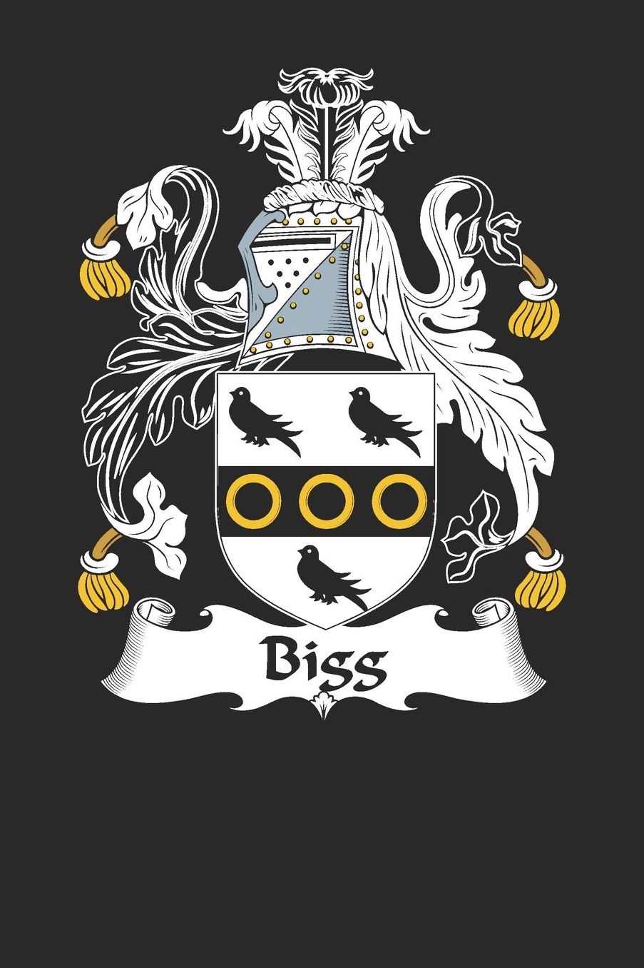 Bigg: Bigg Coat of Arms and Family Crest Notebook Journal (6 x 9 - 100 pages)
