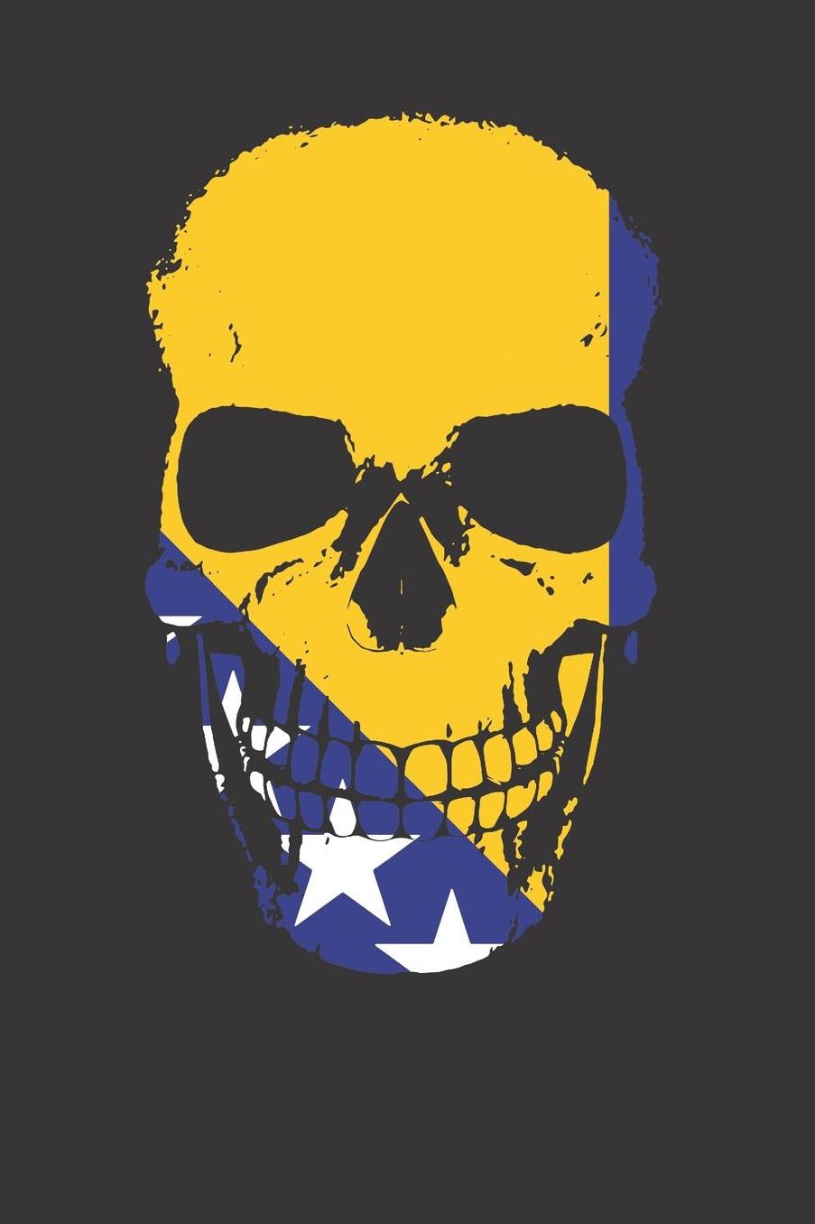 Bosnian Herzegovinian Flag Skull Notebook Journal: Bosnian Herzegovinian Flag Skull Notebook Journal gift Journal 6 x 9 120 pages