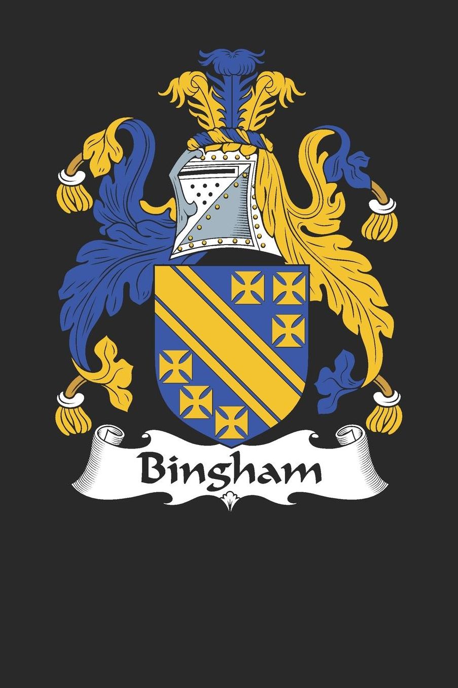Bingham: Bingham Coat of Arms and Family Crest Notebook Journal (6 x 9 - 100 pages)