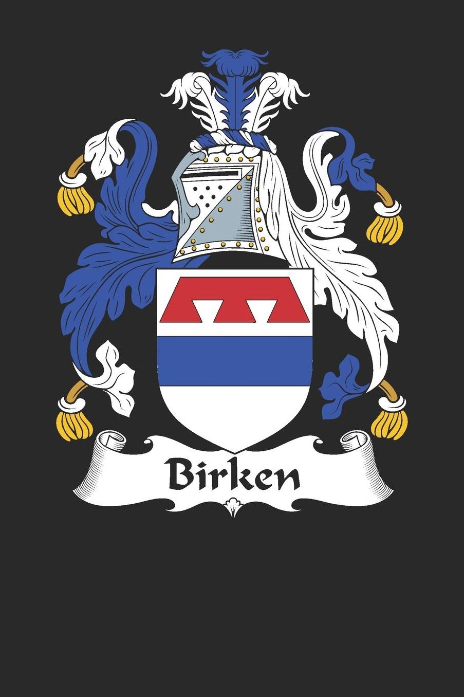 Birken: Birken Coat of Arms and Family Crest Notebook Journal (6 x 9 - 100 pages)