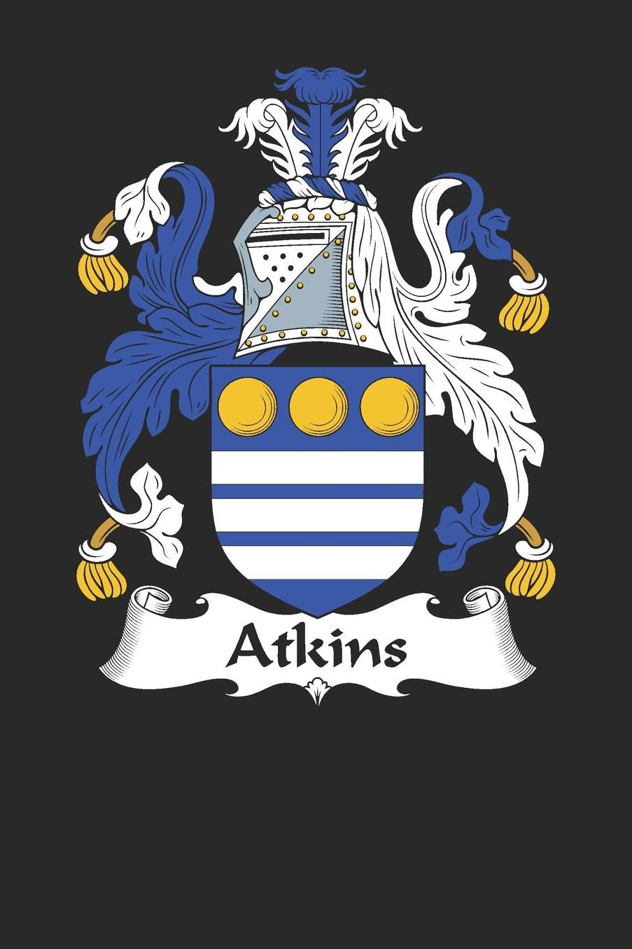 Atkins: Atkins Coat of Arms and Family Crest Notebook Journal (6 x 9 - 100 pages)