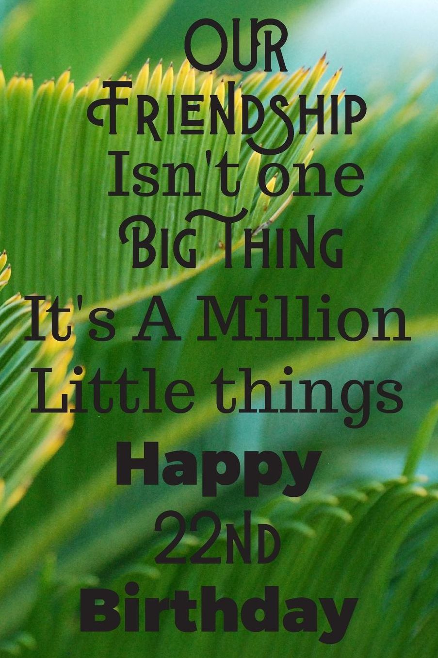 Our Friendship Isn't One Big Thing It's A Million Little Things Happy 22nd Birthday: 22nd Birthday Gift Journal / Notebook / Diary / Great for Men & Women Floral Flower (6 x 9 - 110 Blank Lined Pages)