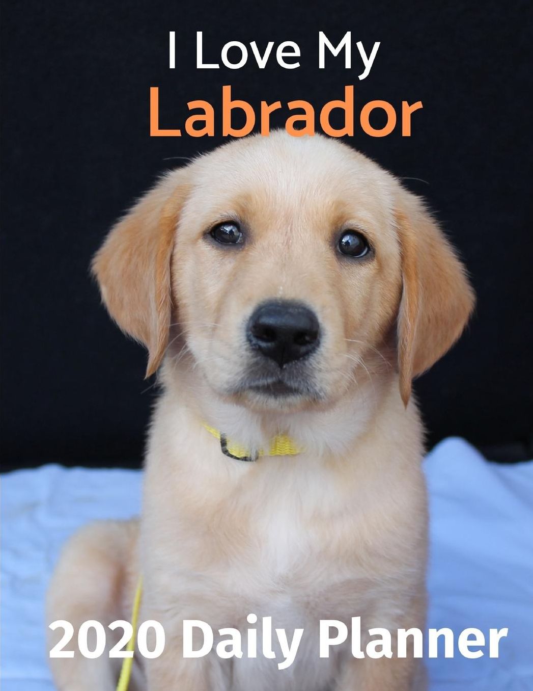 I Love My Labrador: 2020 Daily Planner