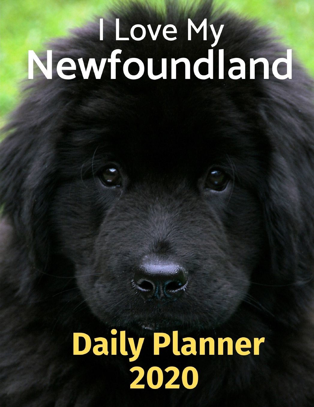 I Love My Newfoundland: 2020 Daily Planner