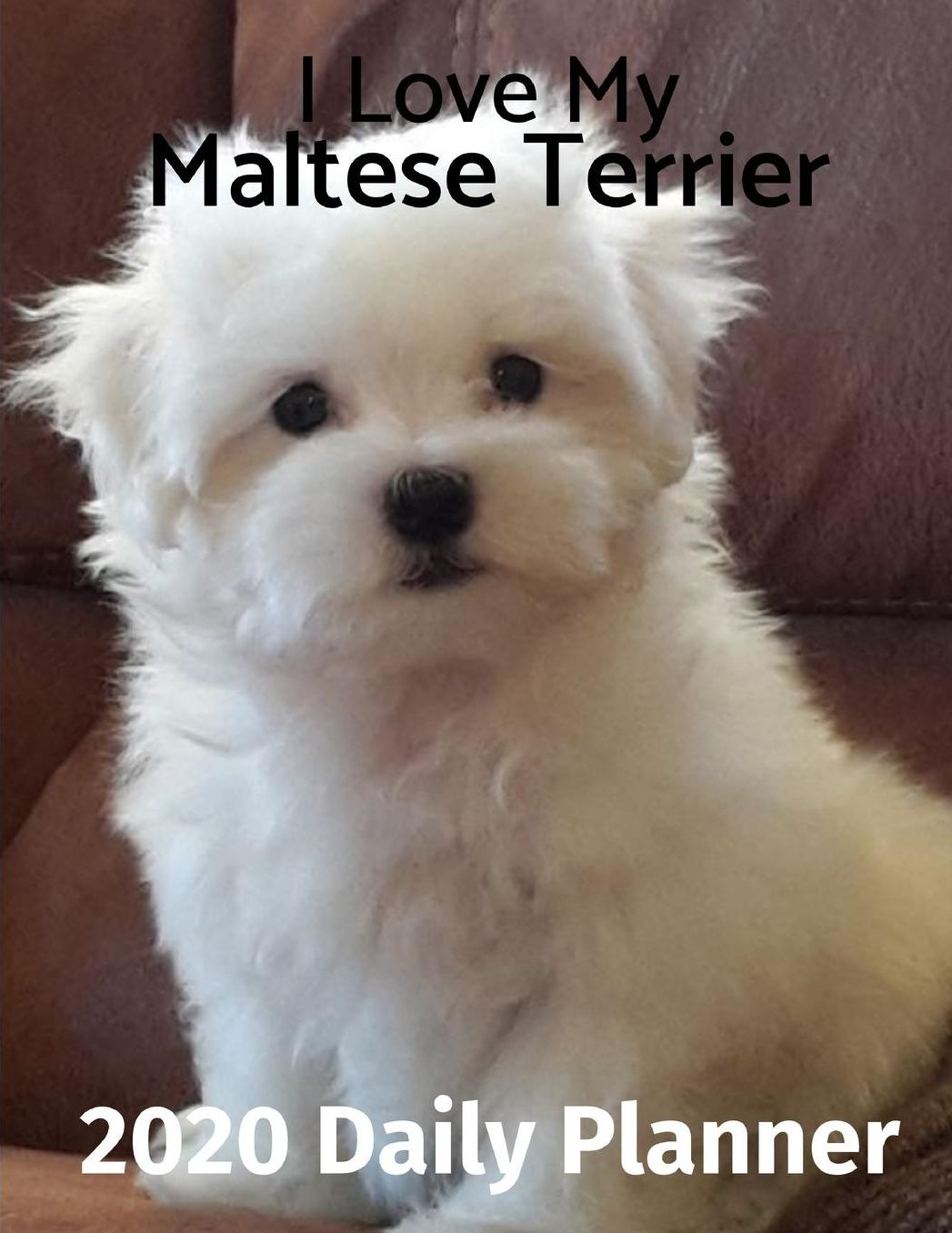 I Love My Maltese Terrier: 2020 Daily Planner