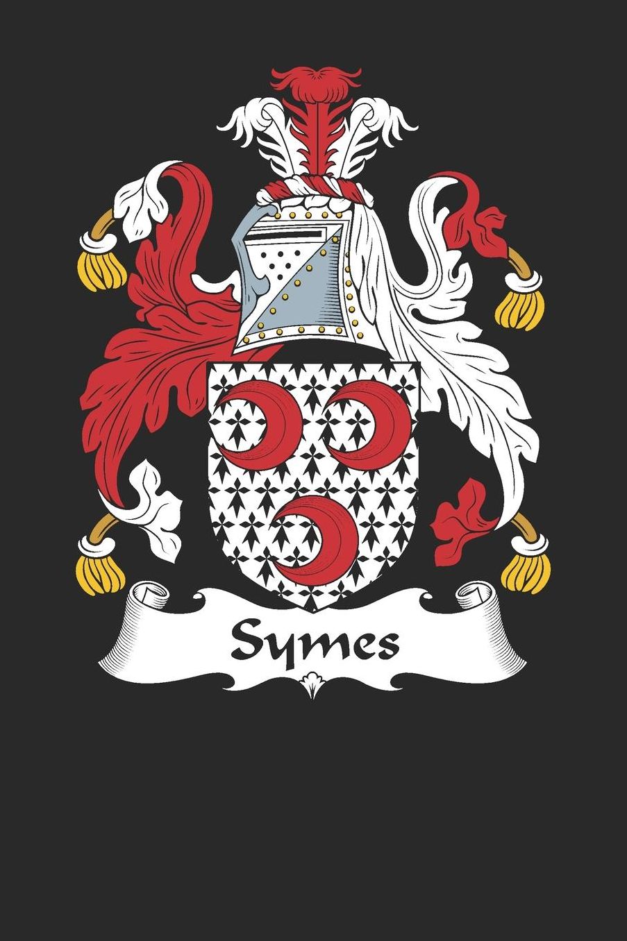 Symes: Symes Coat of Arms and Family Crest Notebook Journal (6 x 9 - 100 pages)