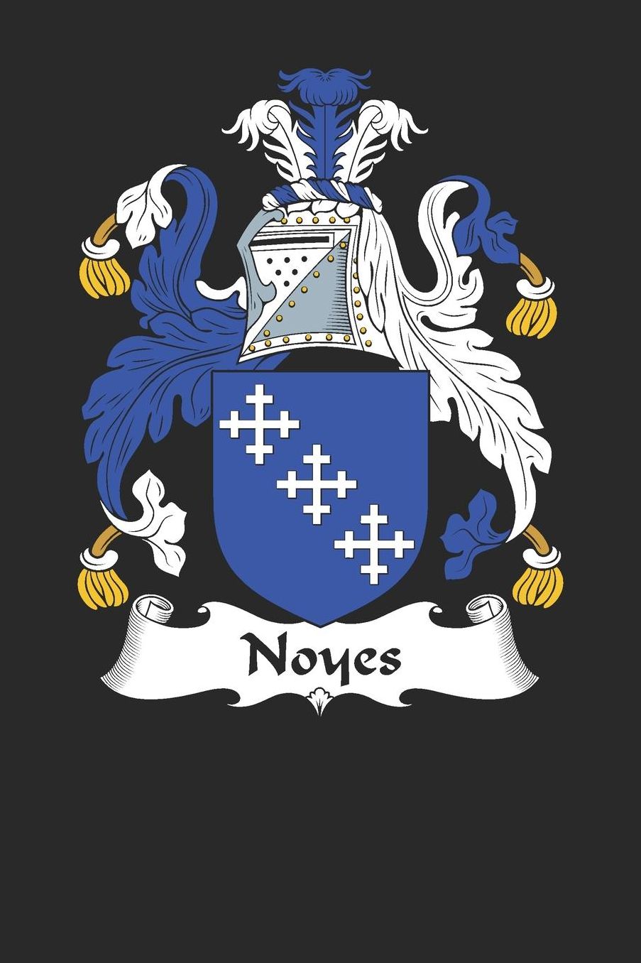 Noyes: Noyes Coat of Arms and Family Crest Notebook Journal (6 x 9 - 100 pages)