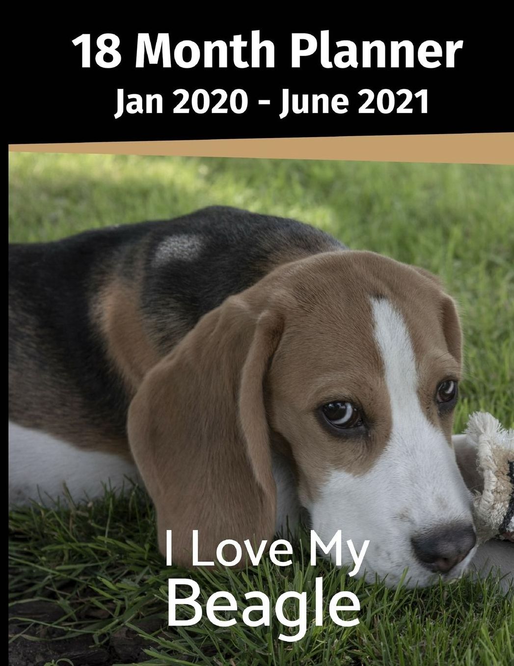 Jan 2020 - June 2021 18 Month Planner: I Love My Beagle