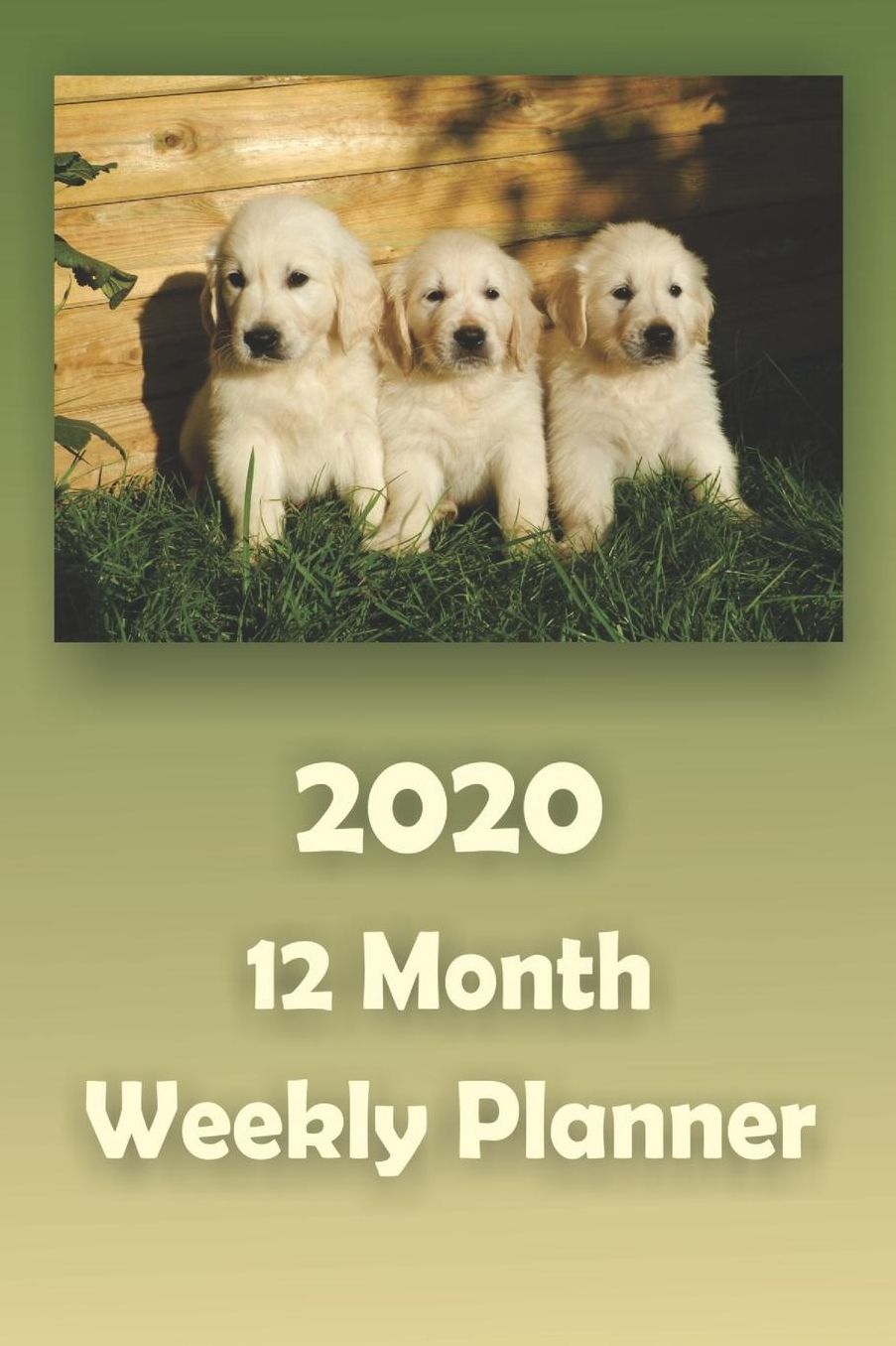 2020 12 Month Weekly Planner: 1 Year Daily/Weekly/Monthly Planner, January 2019-December 2019, Golden Retriever Dog Puppies Cover