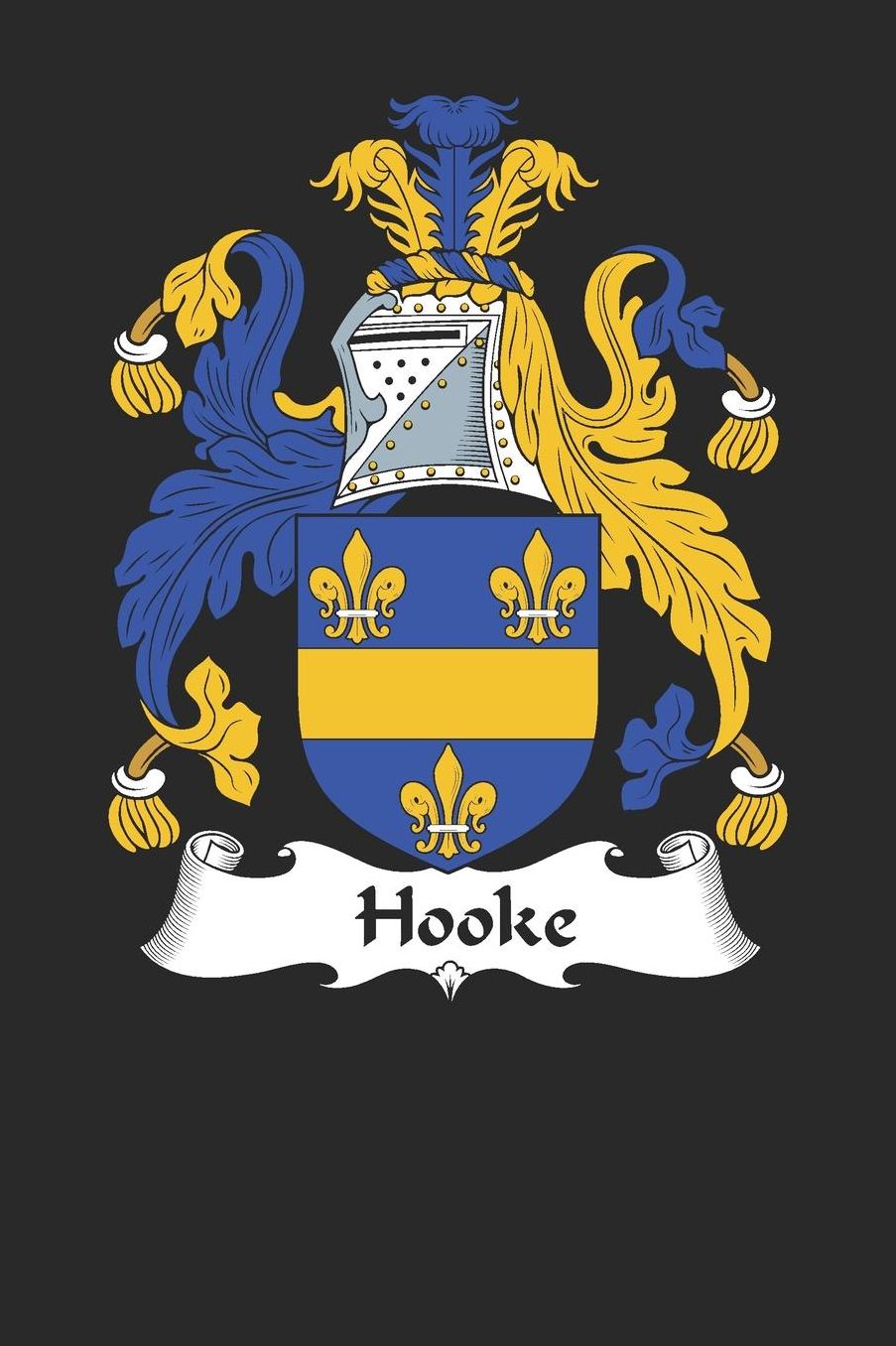 Hooke: Hooke Coat of Arms and Family Crest Notebook Journal (6 x 9 - 100 pages)