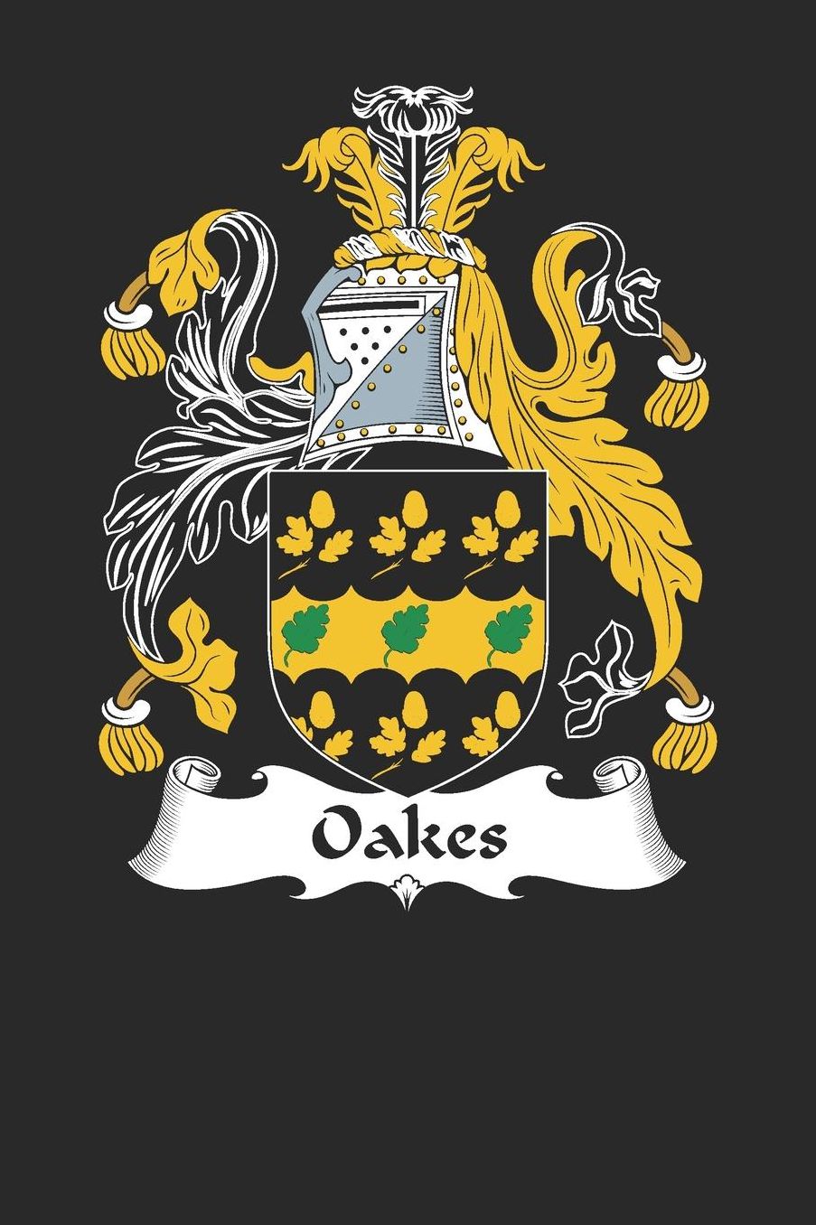 Oakes: Oakes Coat of Arms and Family Crest Notebook Journal (6 x 9 - 100 pages)