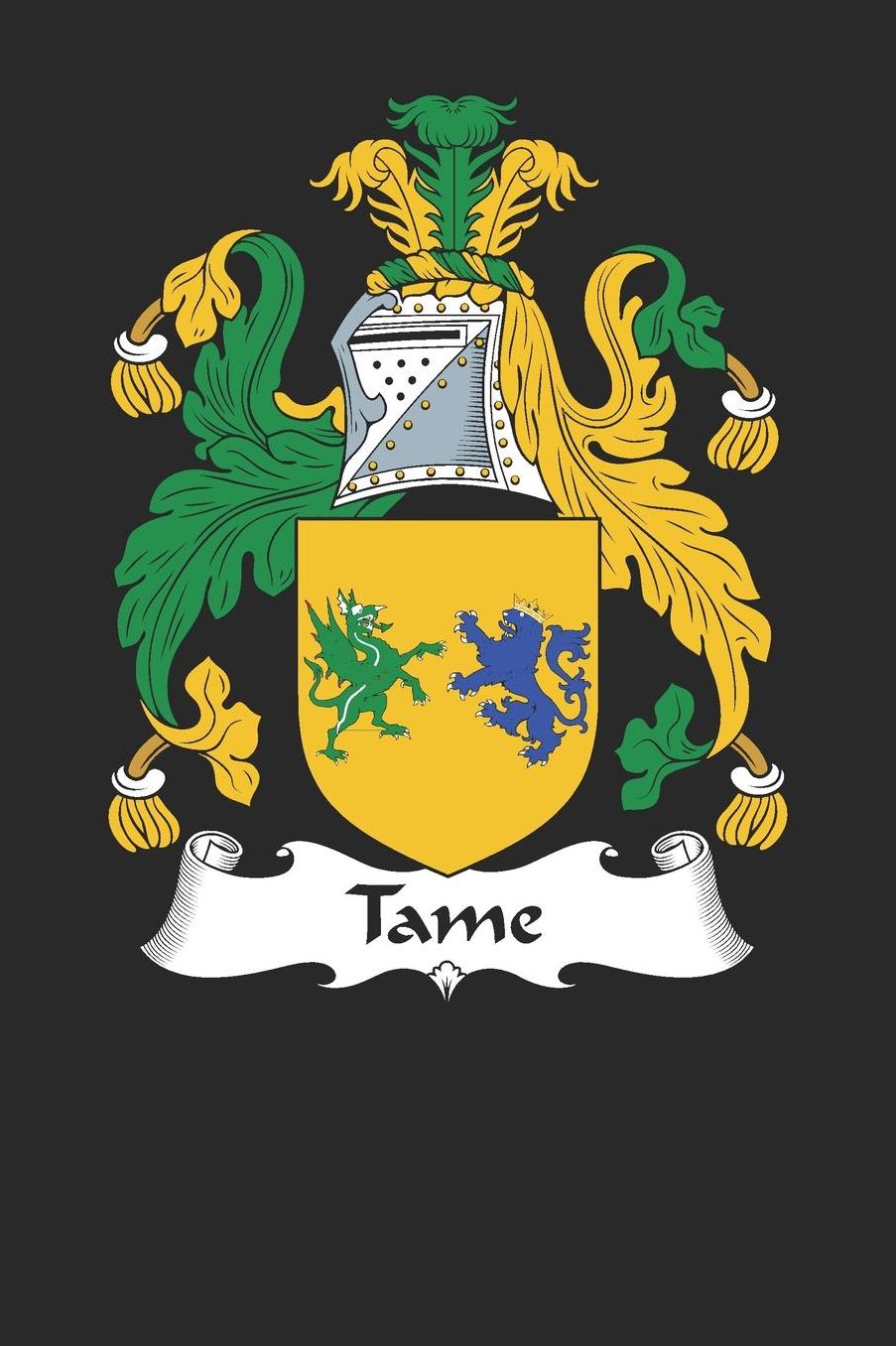 Tame: Tame Coat of Arms and Family Crest Notebook Journal (6 x 9 - 100 pages)