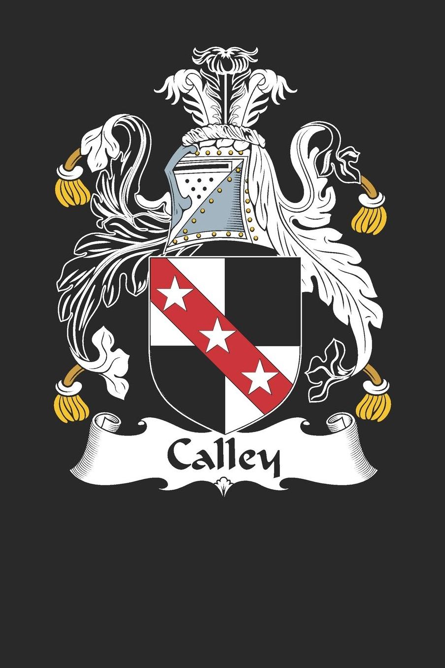 Calley: Calley Coat of Arms and Family Crest Notebook Journal (6 x 9 - 100 pages)