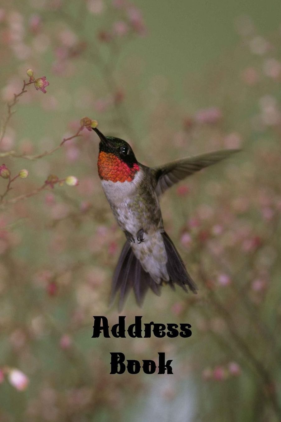Address Book: Hummingbird themed 6x9 100 pages
