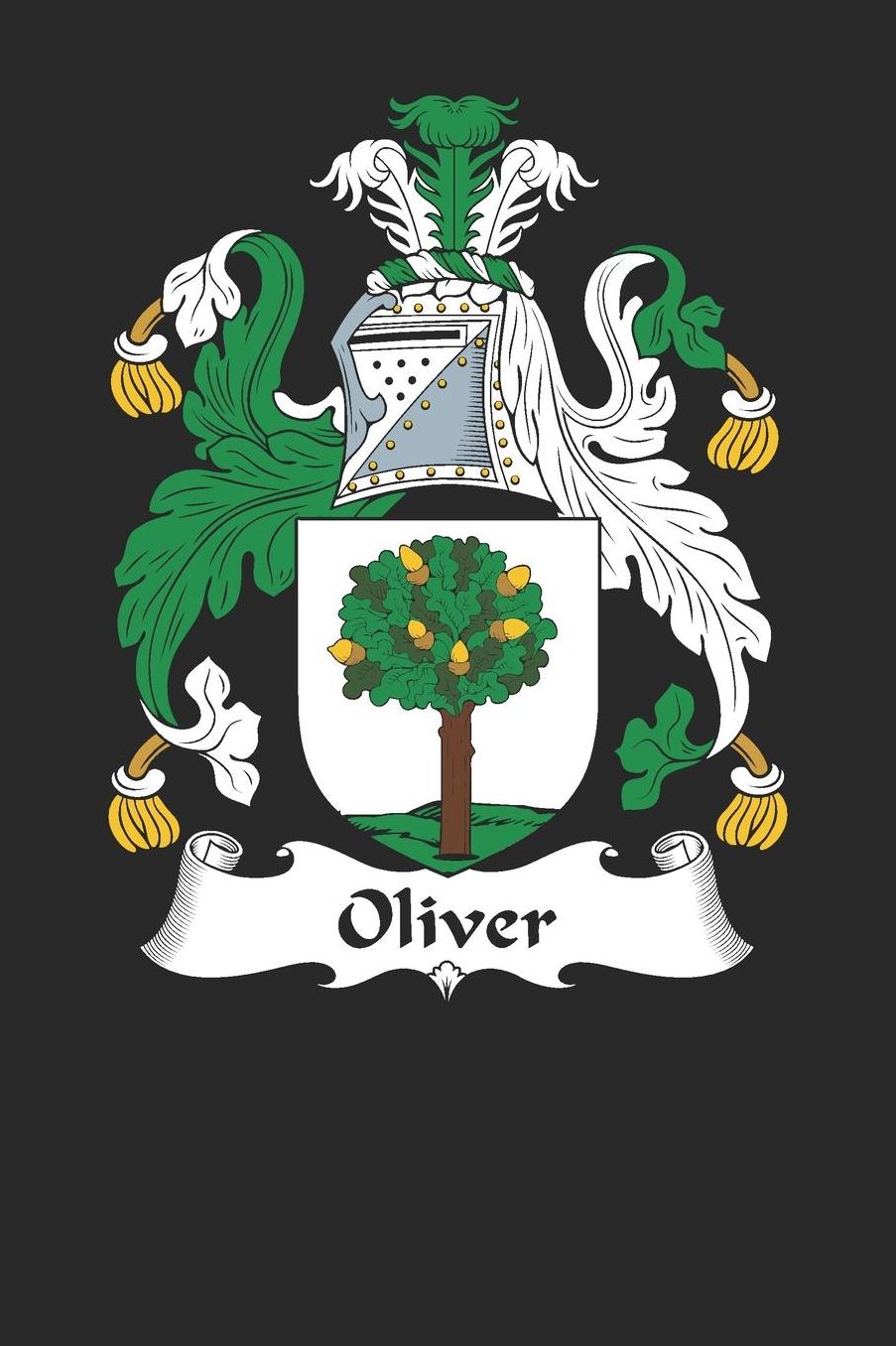 Oliver: Oliver Coat of Arms and Family Crest Notebook Journal (6 x 9 - 100 pages)