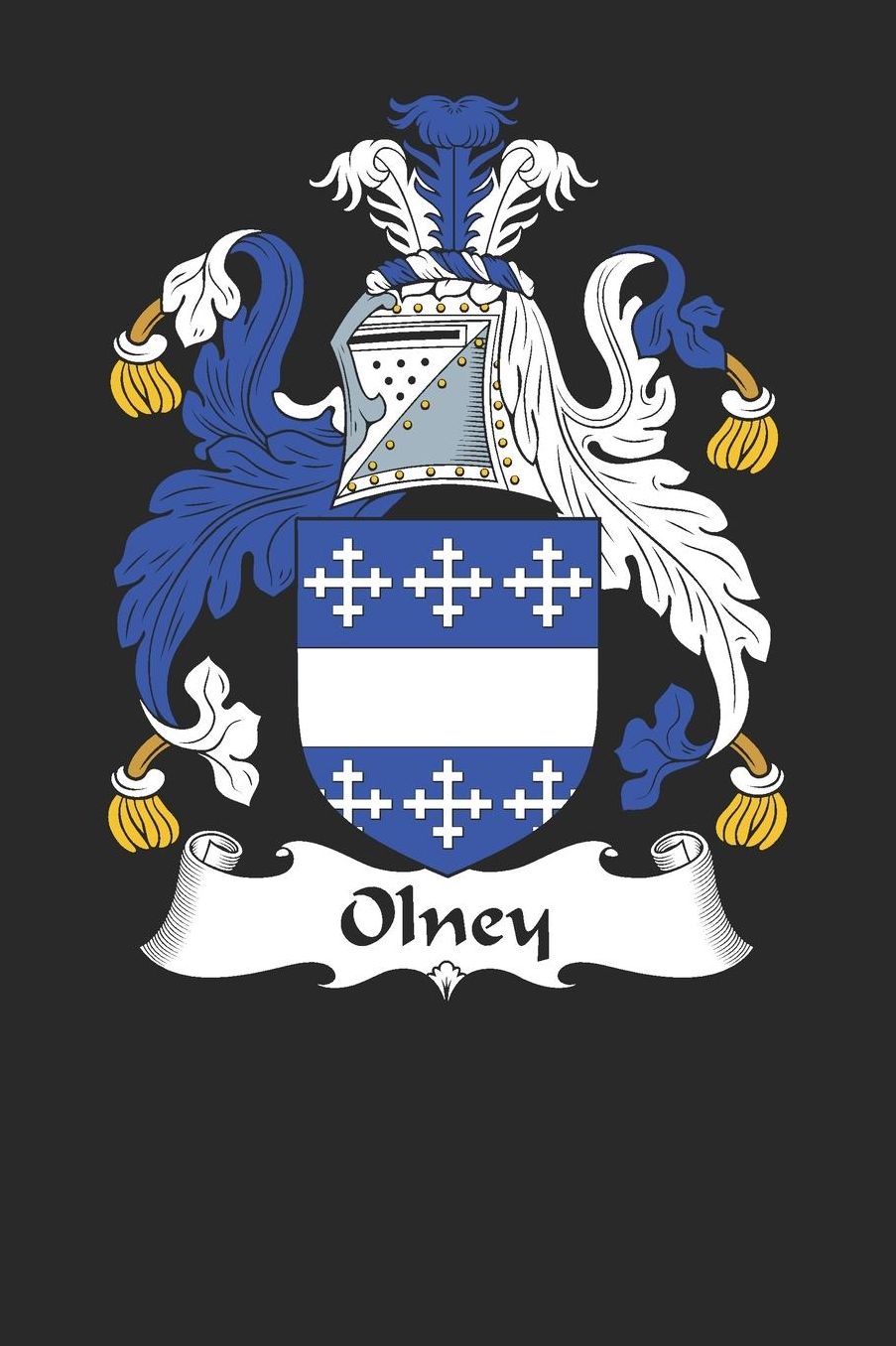 Olney: Olney Coat of Arms and Family Crest Notebook Journal (6 x 9 - 100 pages)