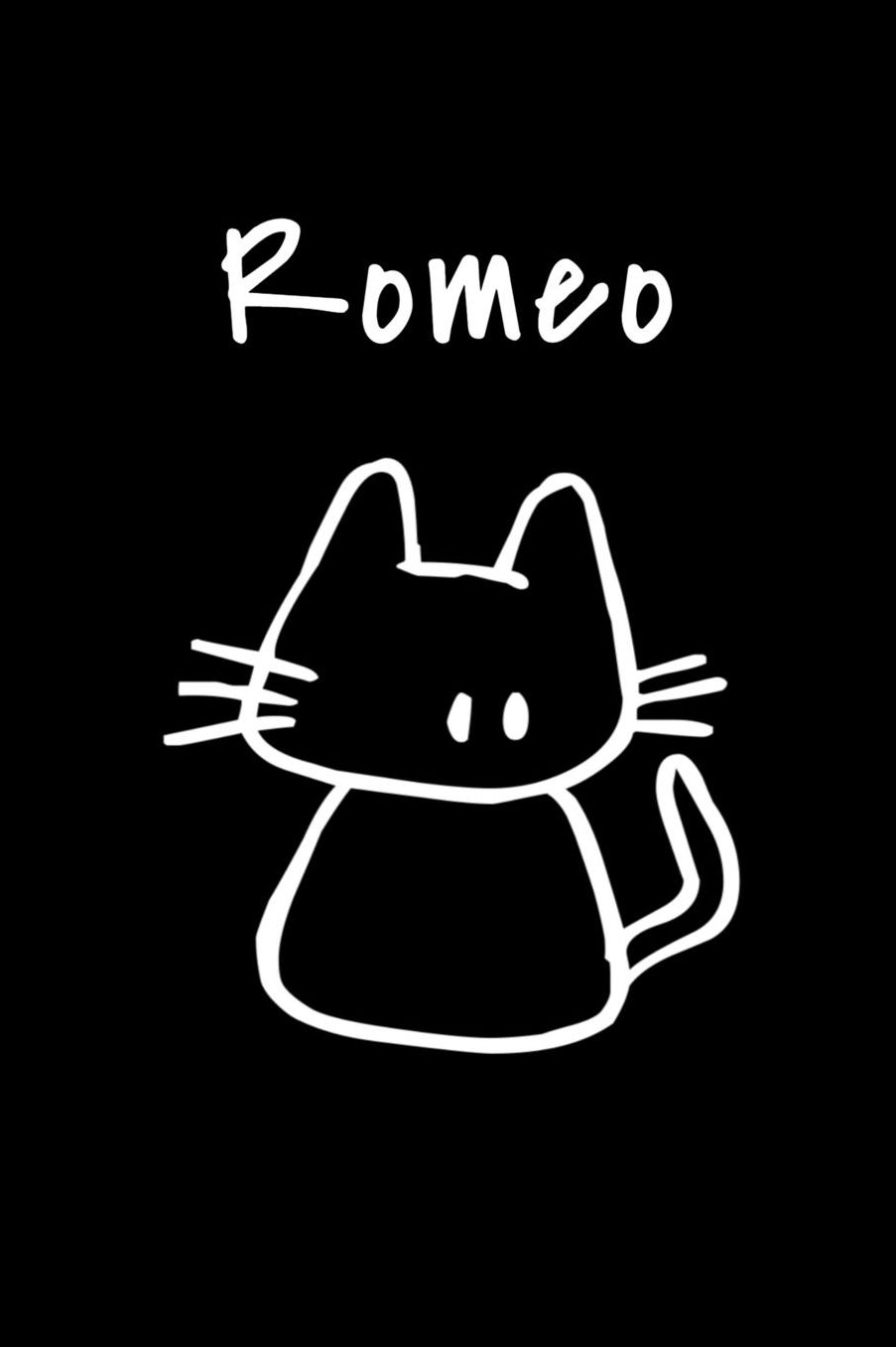 Romeo: Composition Notebook Plain College Ruled Wide Lined 6 x 9 Journal Cute Meow Funny Kawaii Gifts for cool cat lover's Organizer Record Log Passwords Address Book Appointments & Diary Students Back to School Teens Kids Workbook for Writing Notes