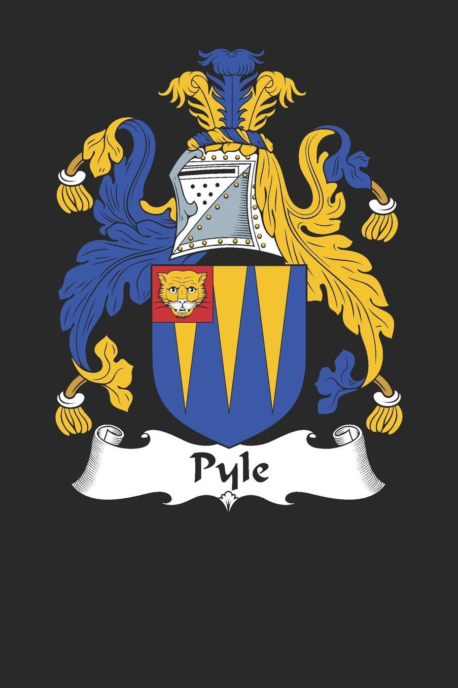 Pyle: Pyle Coat of Arms and Family Crest Notebook Journal (6 x 9 - 100 pages)