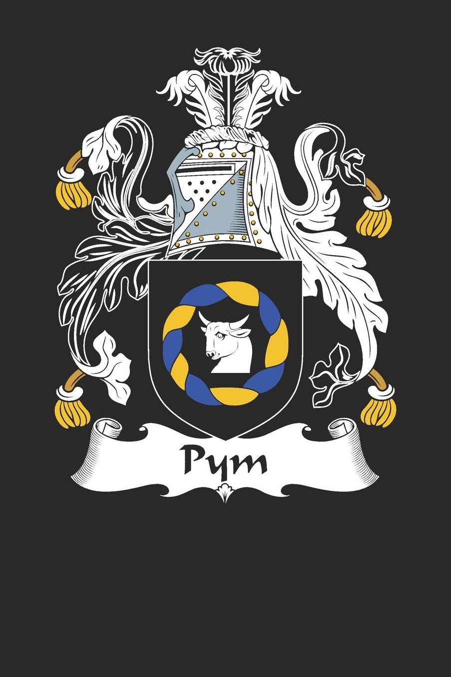 Pym: Pym Coat of Arms and Family Crest Notebook Journal (6 x 9 - 100 pages)