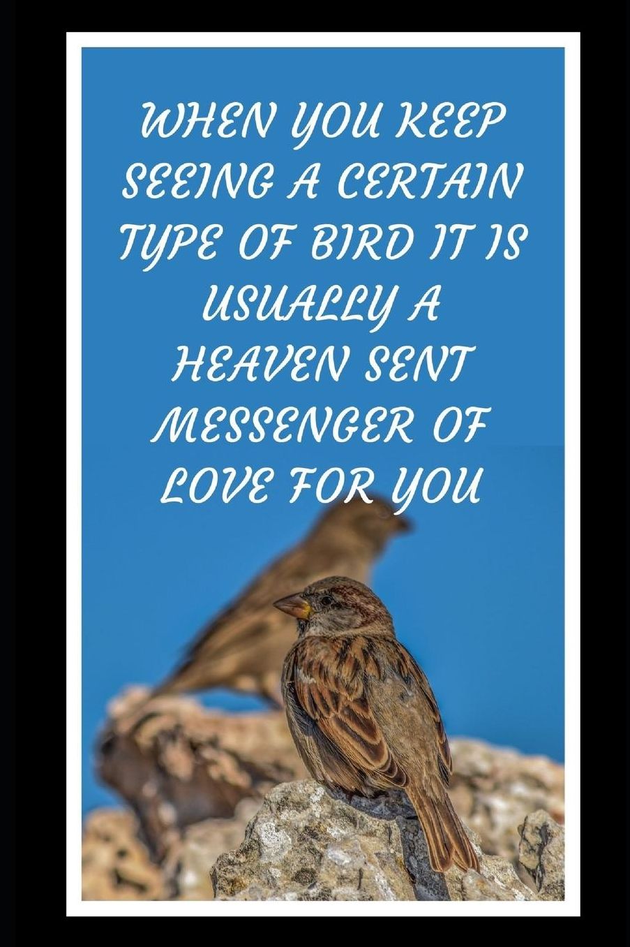 When You Keep Seeing A Certain Type Of Bird It Is Usually A Heaven Sent Messenger Of Love For You: Bird Watching Novelty Lined Notebook / Journal To Write In Perfect Gift Item (6 x 9 inches)