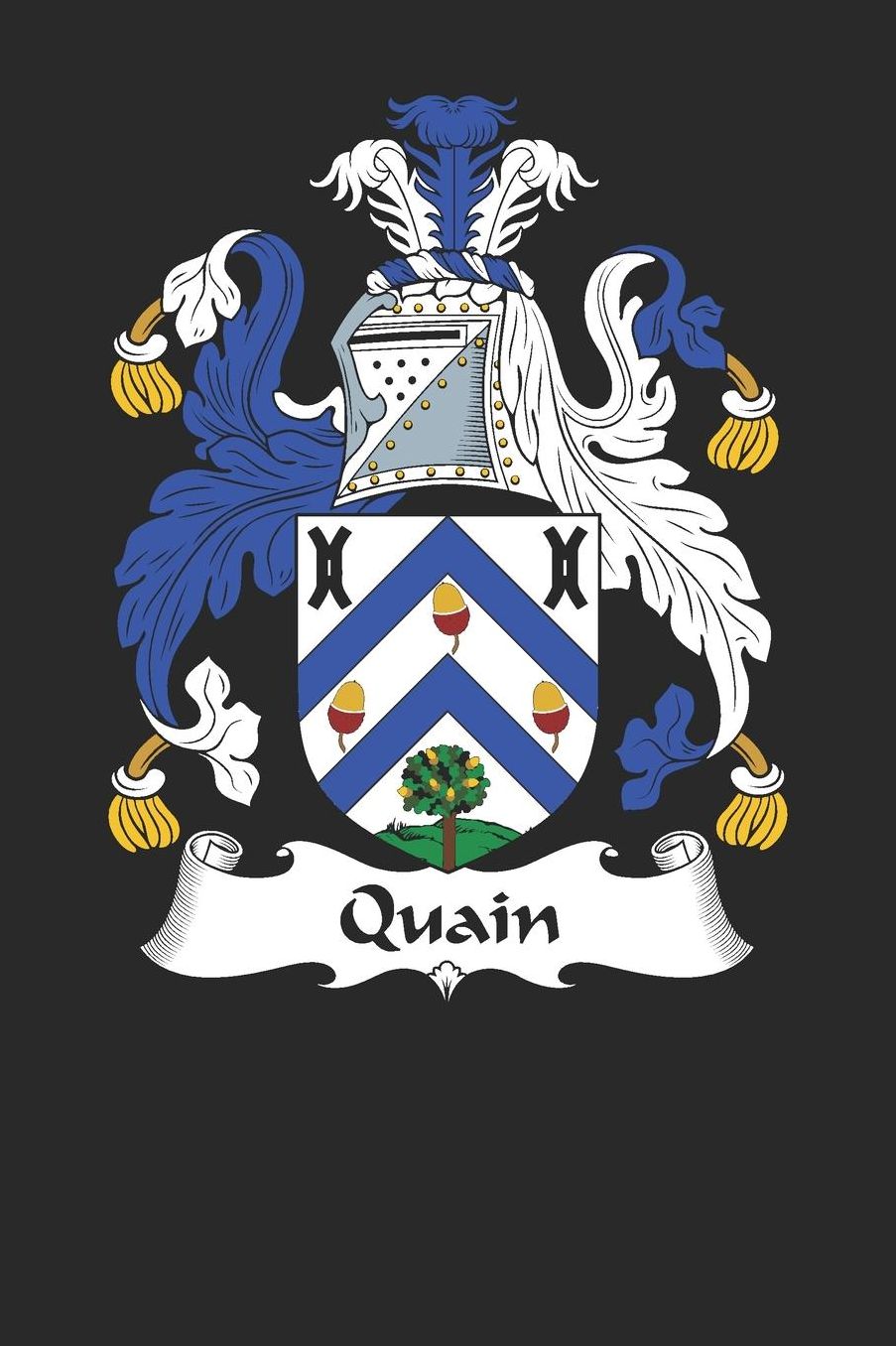 Quain: Quain Coat of Arms and Family Crest Notebook Journal (6 x 9 - 100 pages)