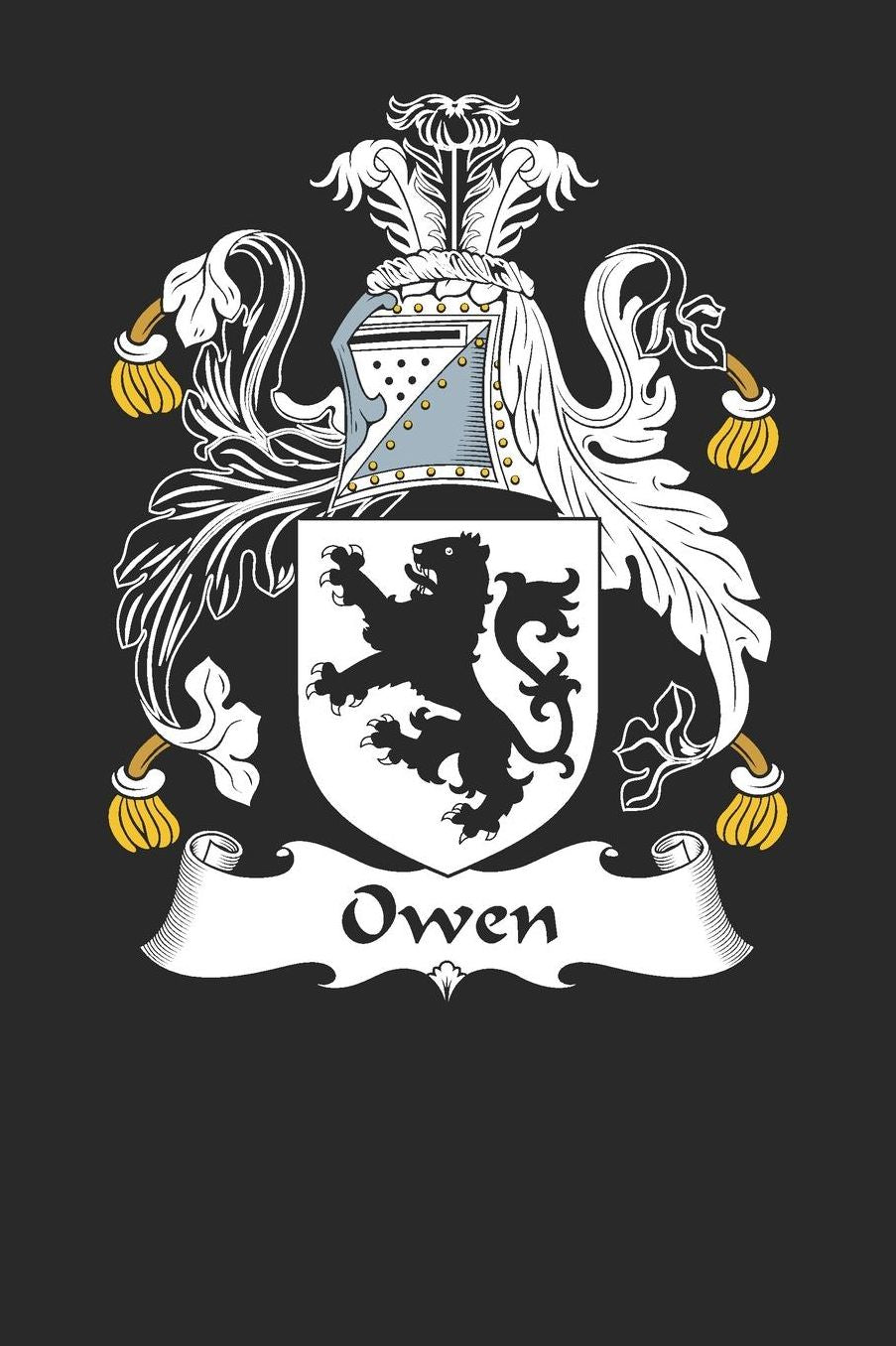 Owen: Owen Coat of Arms and Family Crest Notebook Journal (6 x 9 - 100 pages)