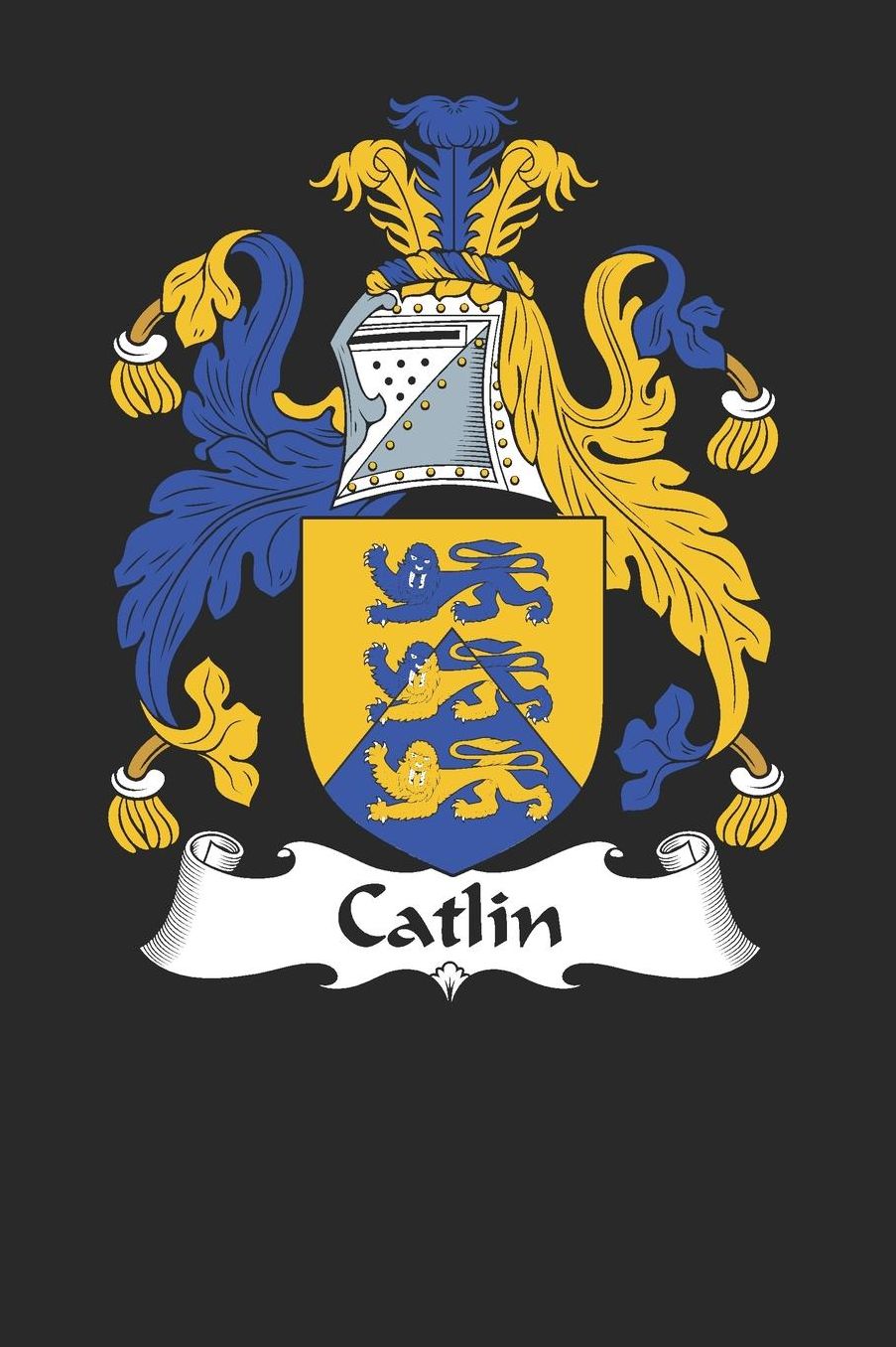 Catlin: Catlin Coat of Arms and Family Crest Notebook Journal (6 x 9 - 100 pages)