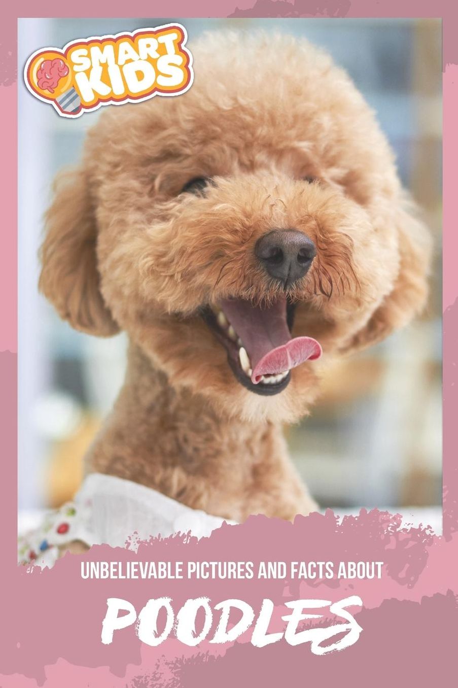 Unbelievable Pictures and Facts About Poodles