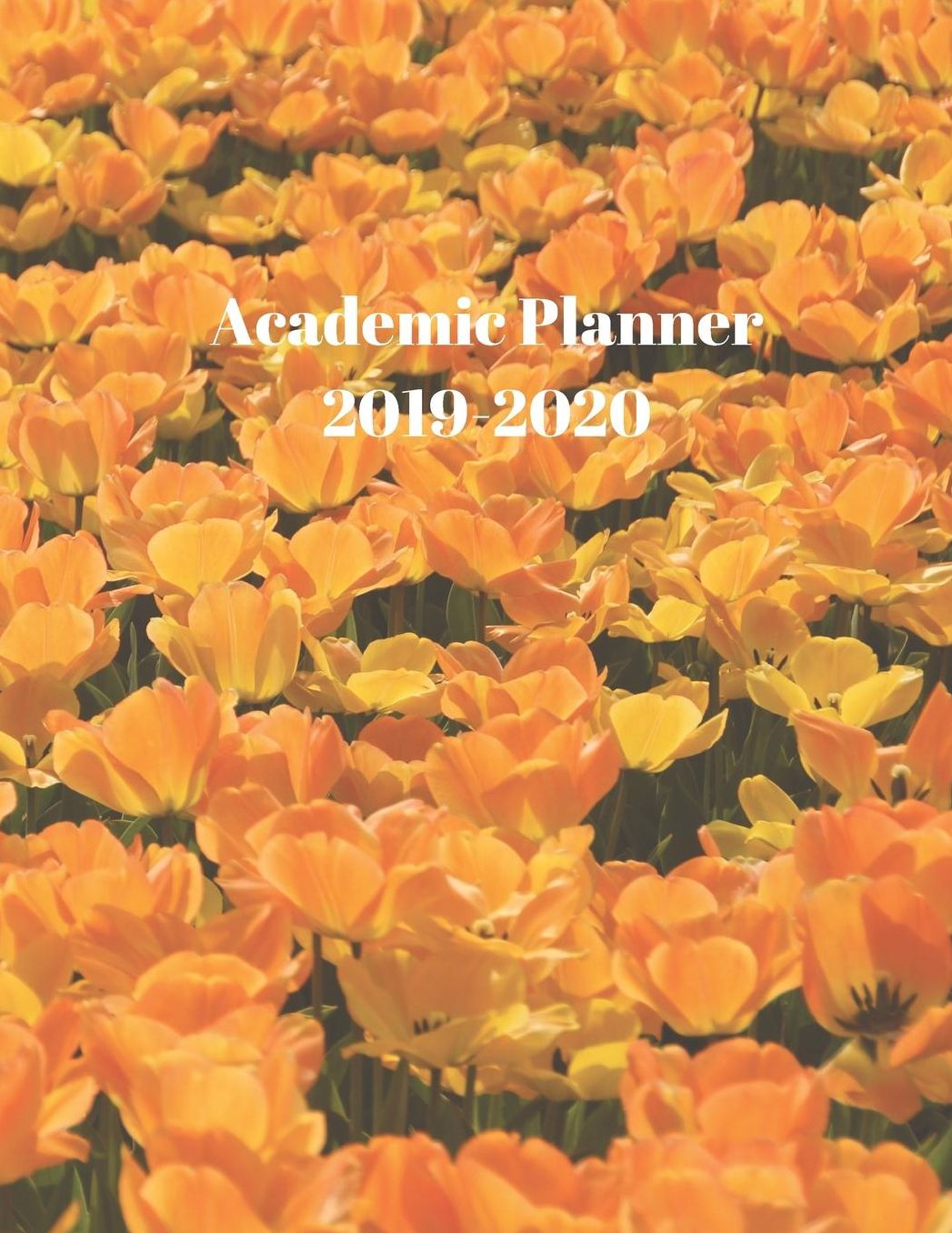 Academic Planner 2019-2020: Daily Organizer for High School Students