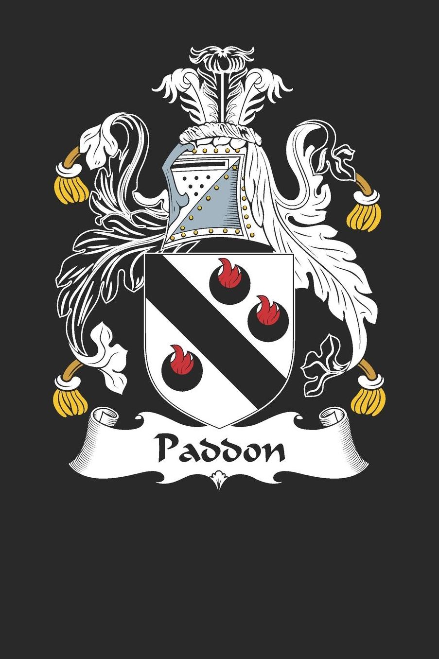 Paddon: Paddon Coat of Arms and Family Crest Notebook Journal (6 x 9 - 100 pages)