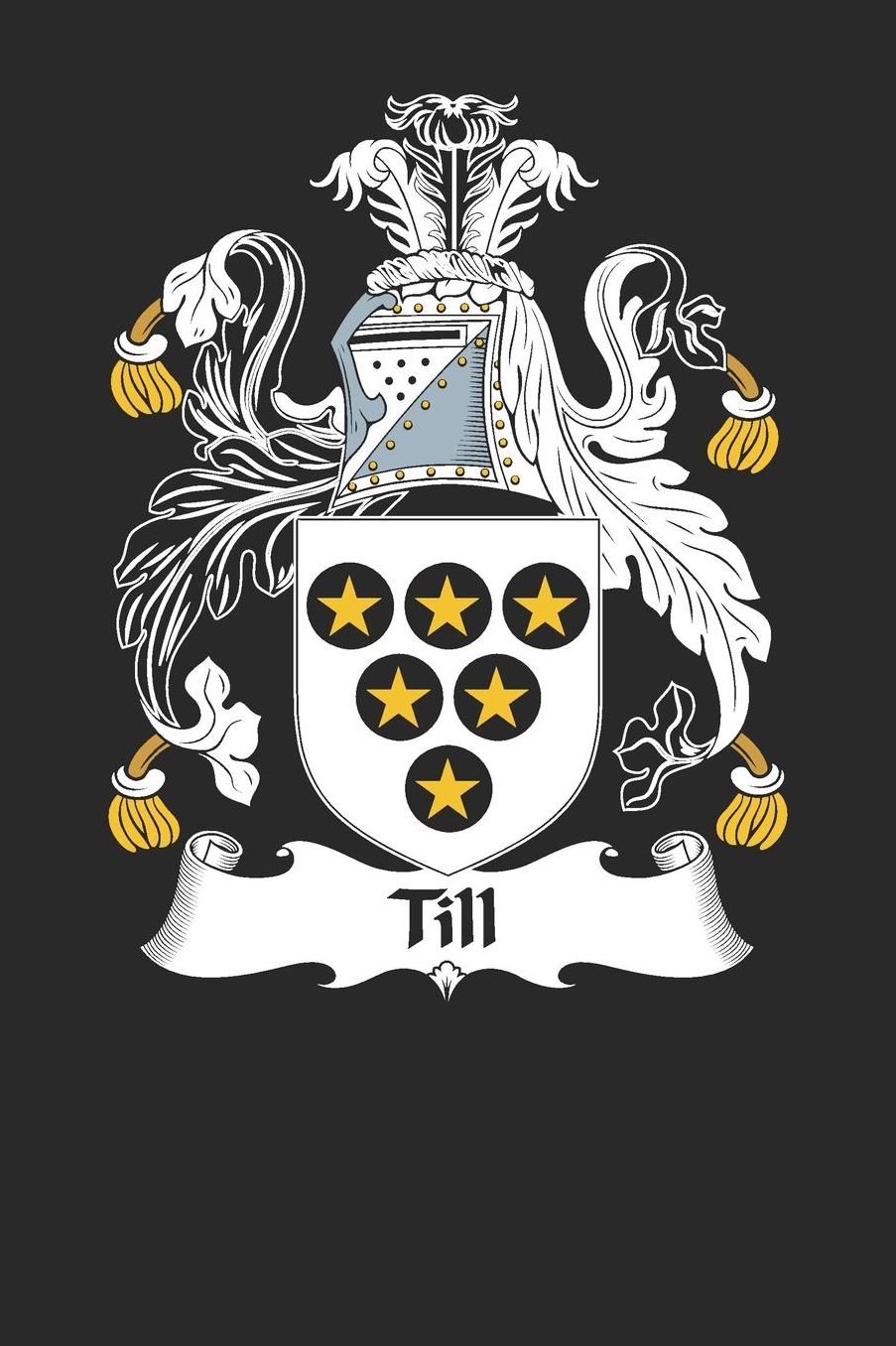 Till: Till Coat of Arms and Family Crest Notebook Journal (6 x 9 - 100 pages)