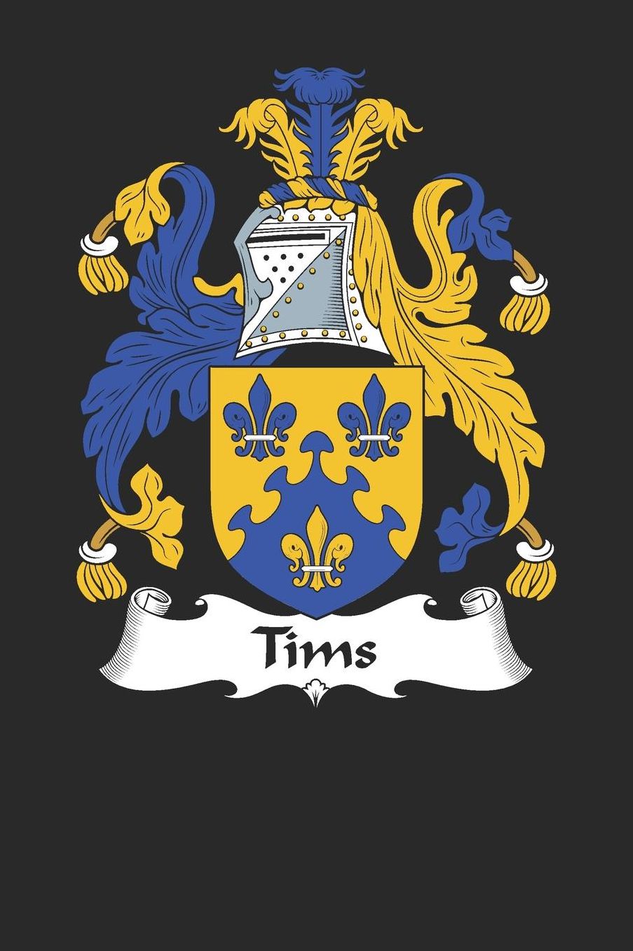 Tims: Tims Coat of Arms and Family Crest Notebook Journal (6 x 9 - 100 pages)