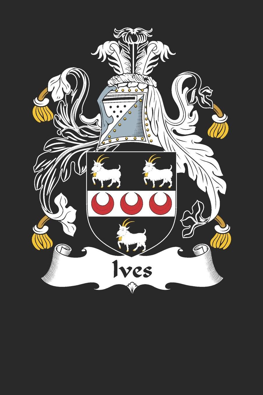 Ives: Ives Coat of Arms and Family Crest Notebook Journal (6 x 9 - 100 pages)