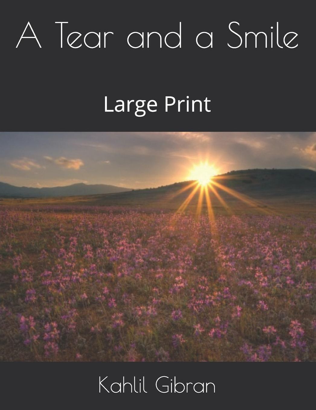 A Tear and a Smile: Large Print