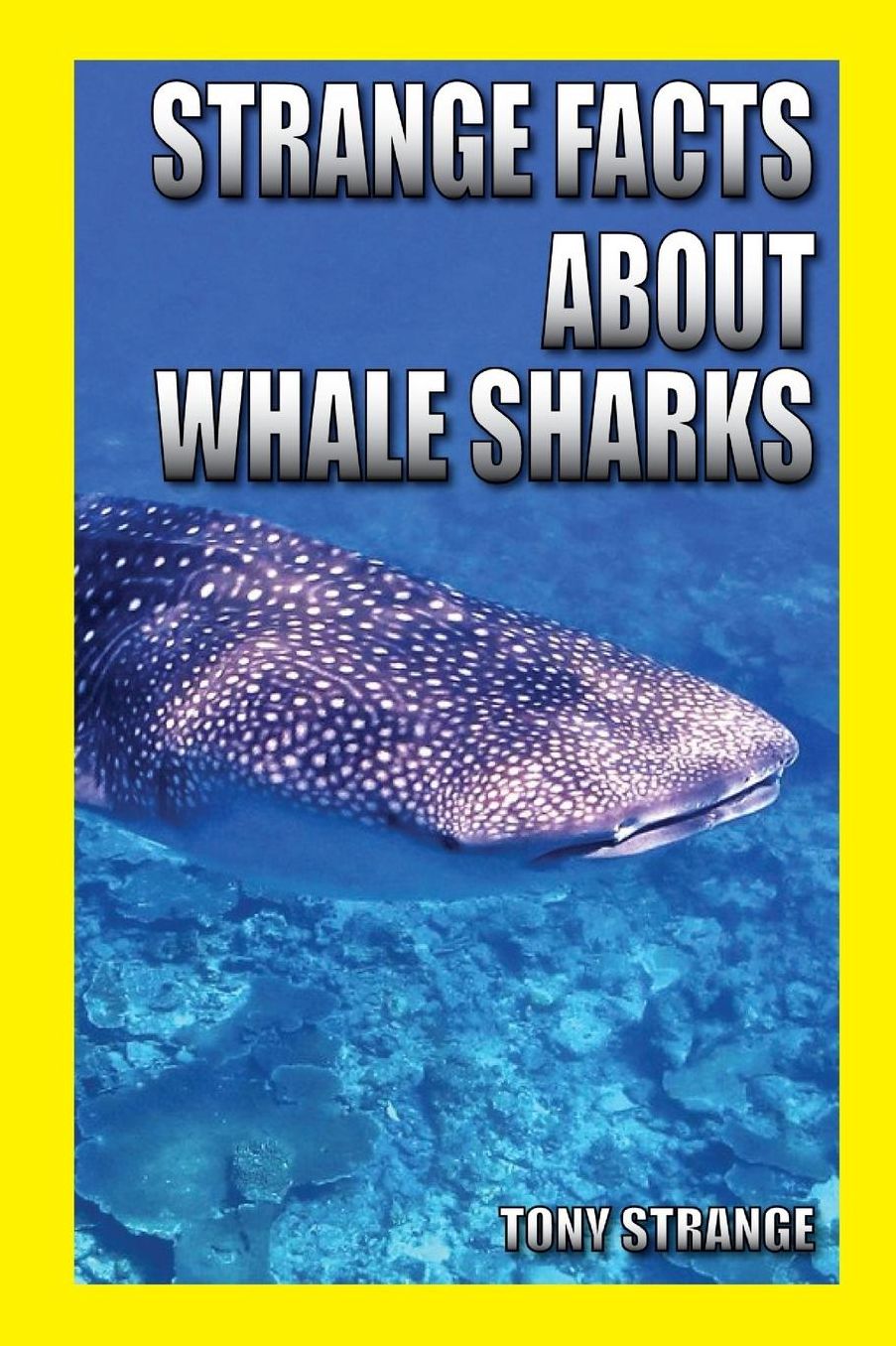 Strange Facts about Whale Sharks: children's science, interesting facts about animal