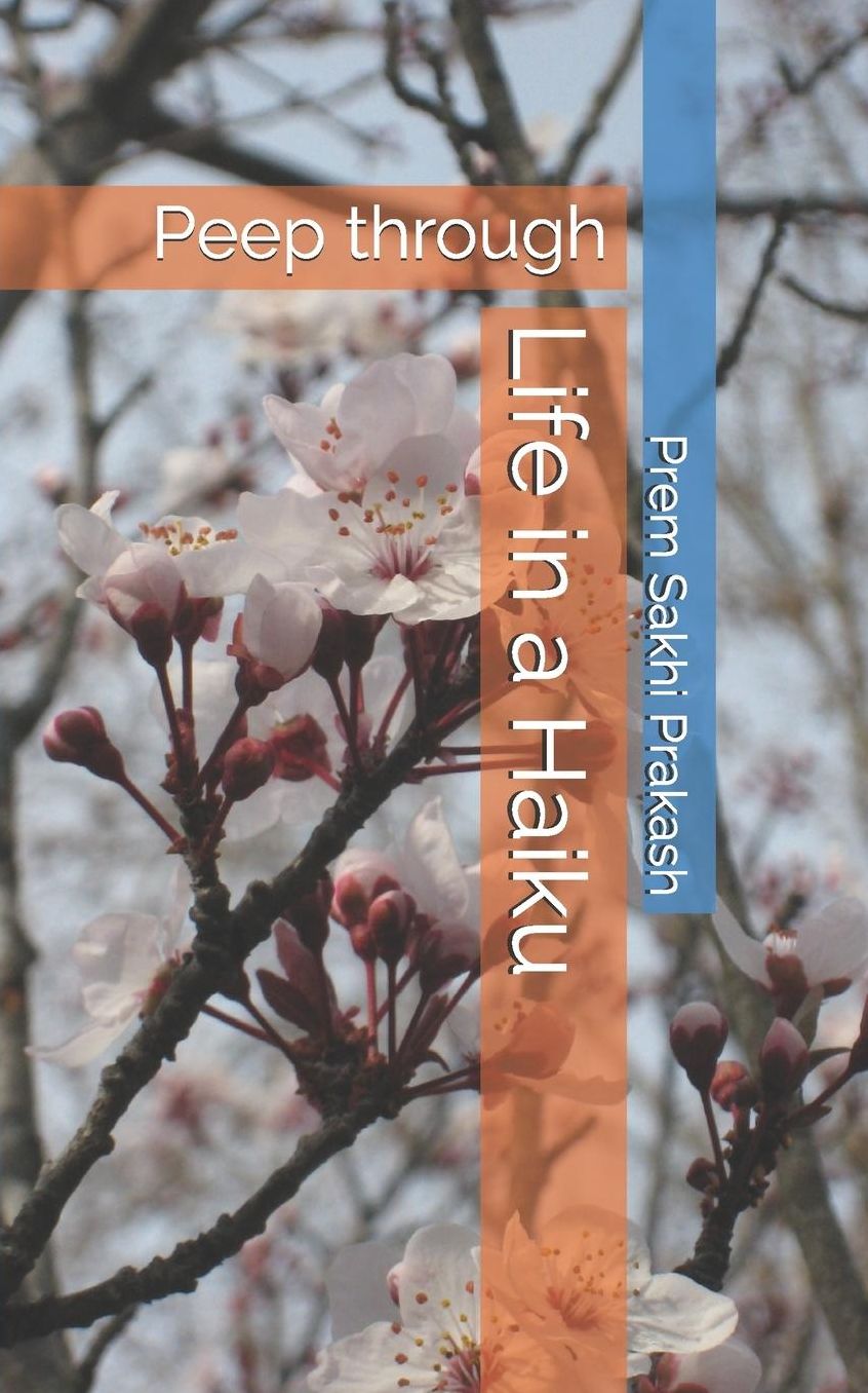 Life in a Haiku: Peep through