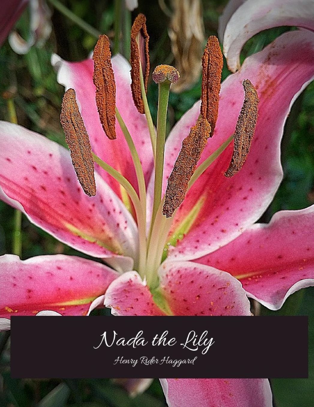Nada The Lily: The Evergreen Story (Annotated) By Henry Rider Haggard.