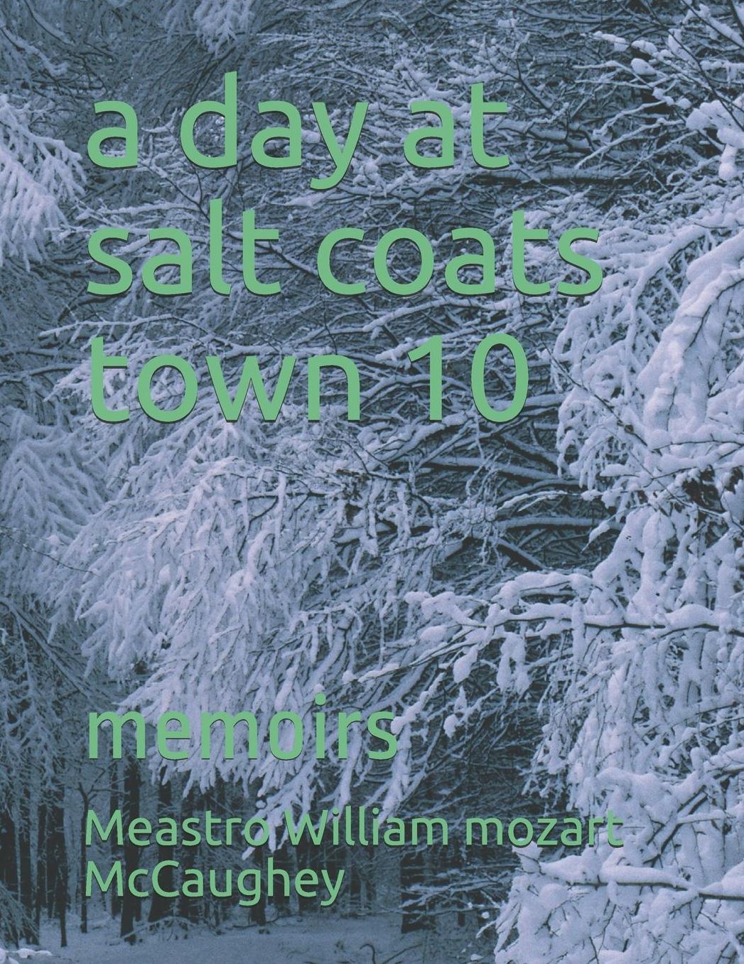 A day at salt coats town 10: memoirs