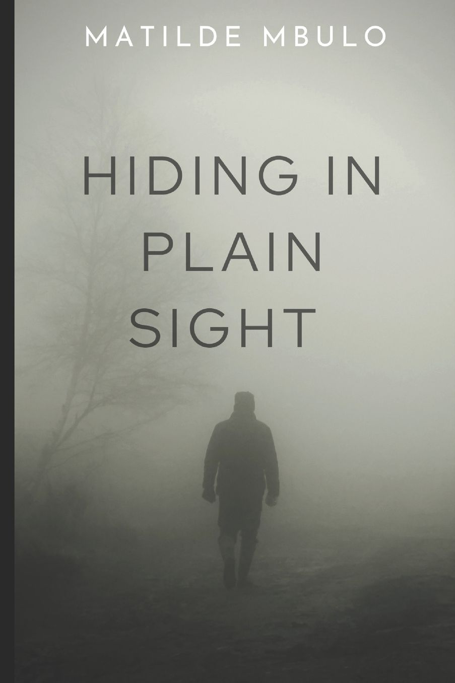 Hiding In Plain Sight