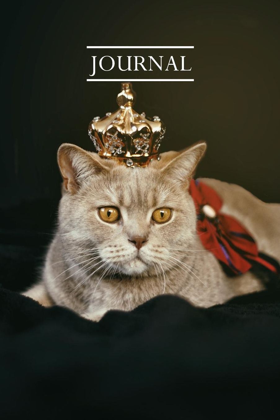 Journal: Pretty Cute Kitten Notebook for Cat Lovers