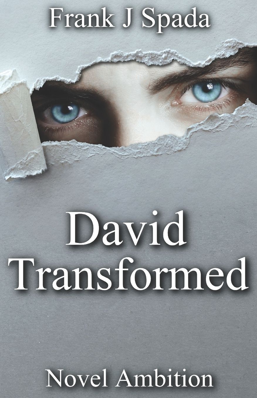 David Transformed: Novel Ambition