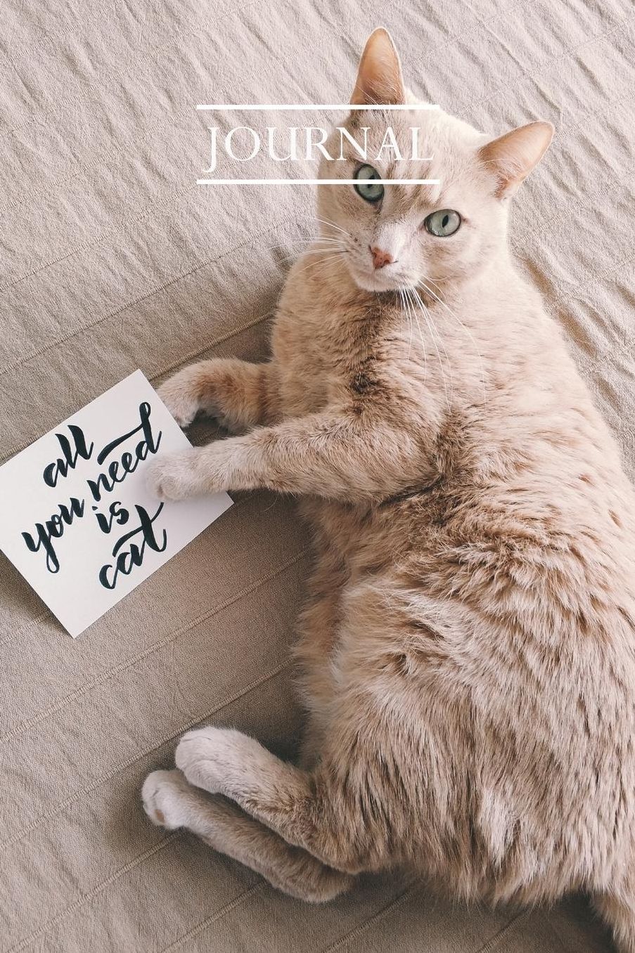 Journal: Pretty Cute Kitten Notebook for Cat Lovers