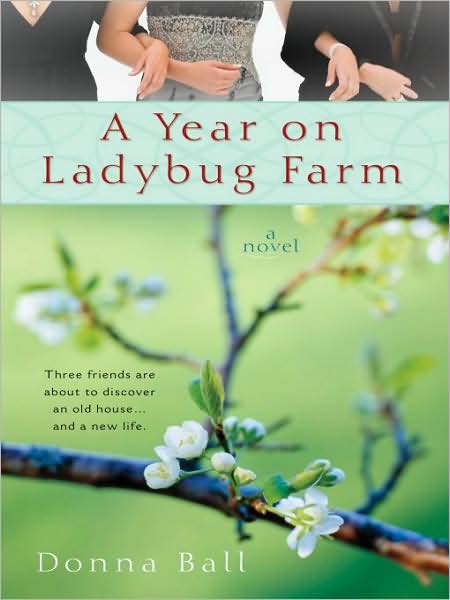 A Year on Ladybug Farm