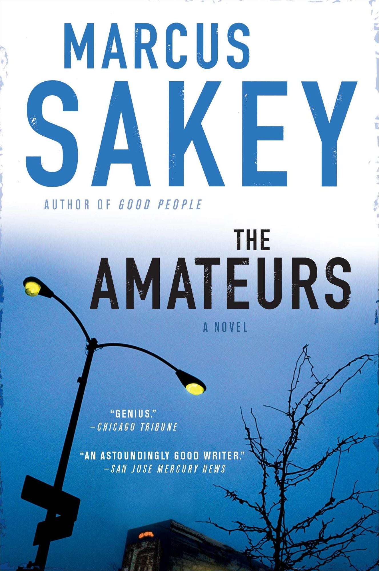The Amateurs: A Thriller