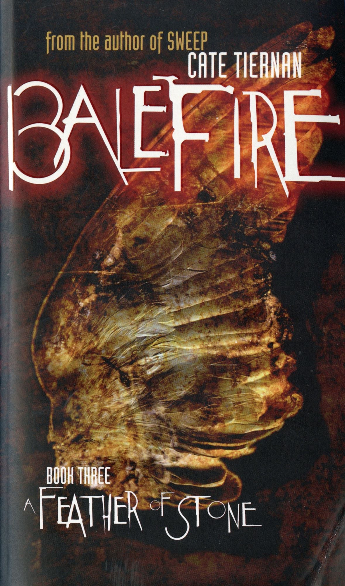 A Feather of Stone (Balefire Series #3)