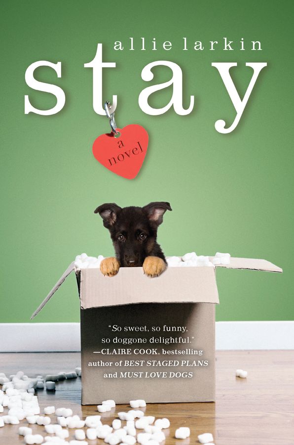 Stay: A Novel