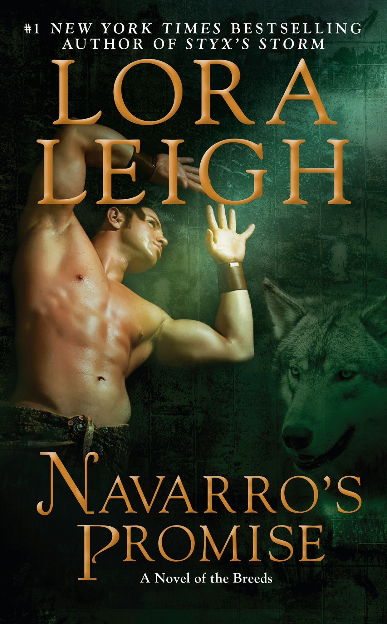 Navarro's Promise (Breeds Series #24)