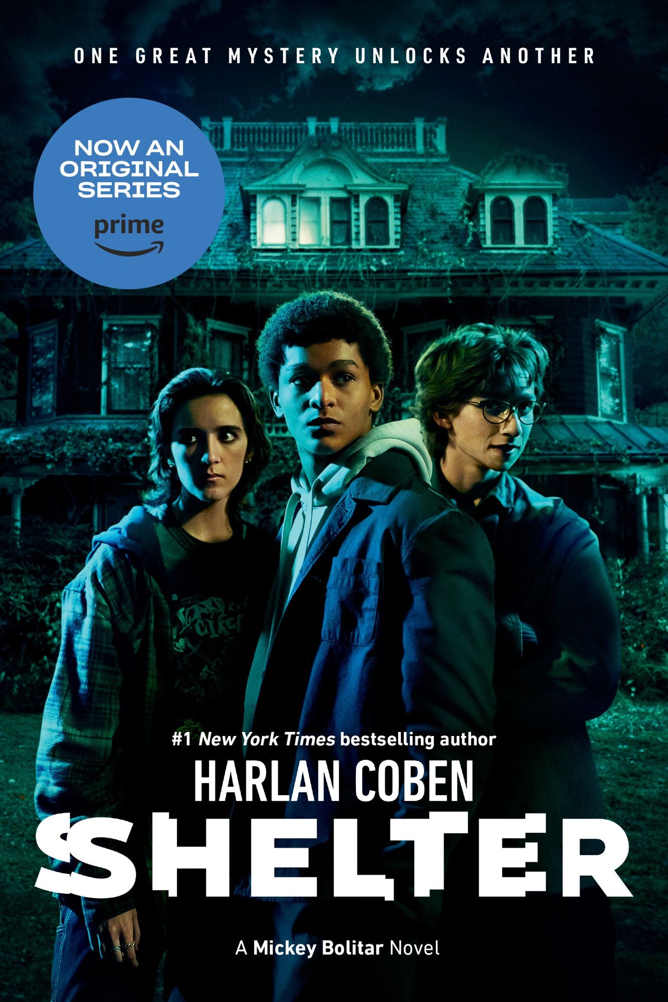 Shelter (Mickey Bolitar Series #1)