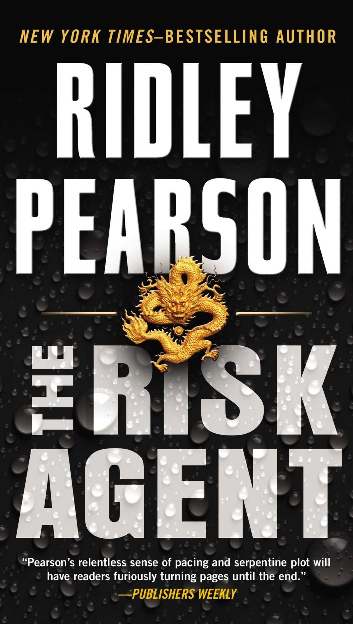 The Risk Agent (Risk Agent Series #1)