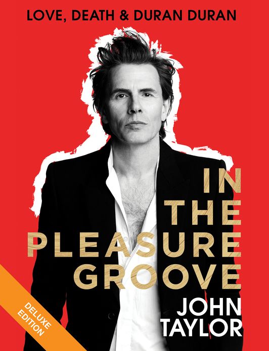 In the Pleasure Groove: Love, Death, and Duran Duran